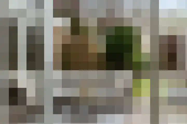 Elzekamp 14 Tytsjerk thumbnail 18
