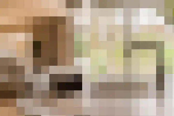 Elzekamp 14 Tytsjerk thumbnail 19