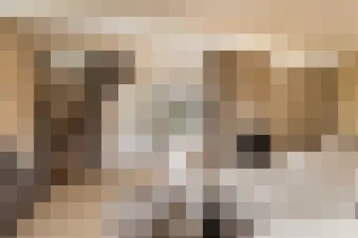 Elzekamp 14 Tytsjerk thumbnail 20
