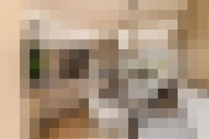 Elzekamp 14 Tytsjerk thumbnail 23