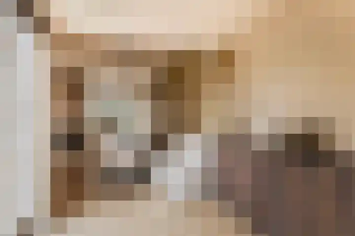 Elzekamp 14 Tytsjerk thumbnail 24