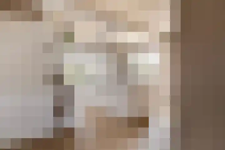 Elzekamp 14 Tytsjerk thumbnail 27