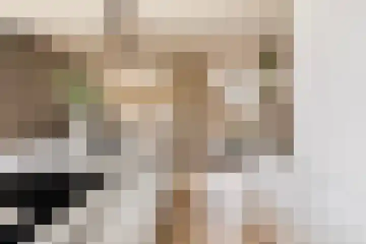 Elzekamp 14 Tytsjerk thumbnail 29