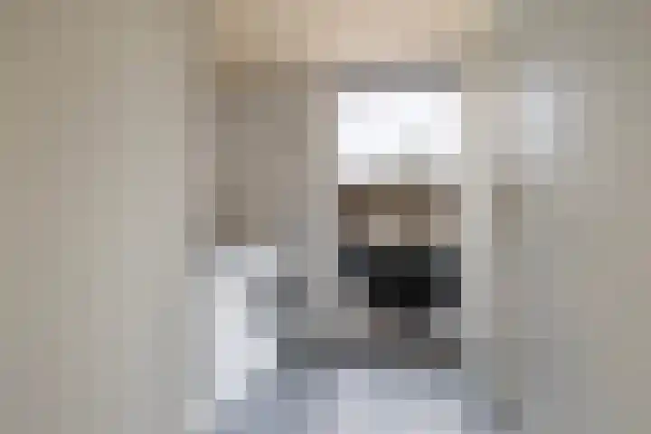 Elzekamp 14 Tytsjerk thumbnail 34