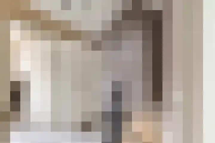 Elzekamp 14 Tytsjerk thumbnail 37