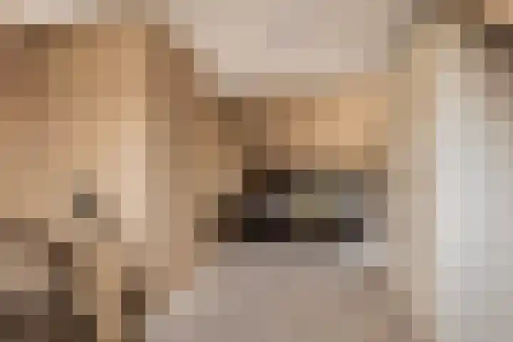 Elzekamp 14 Tytsjerk thumbnail 39