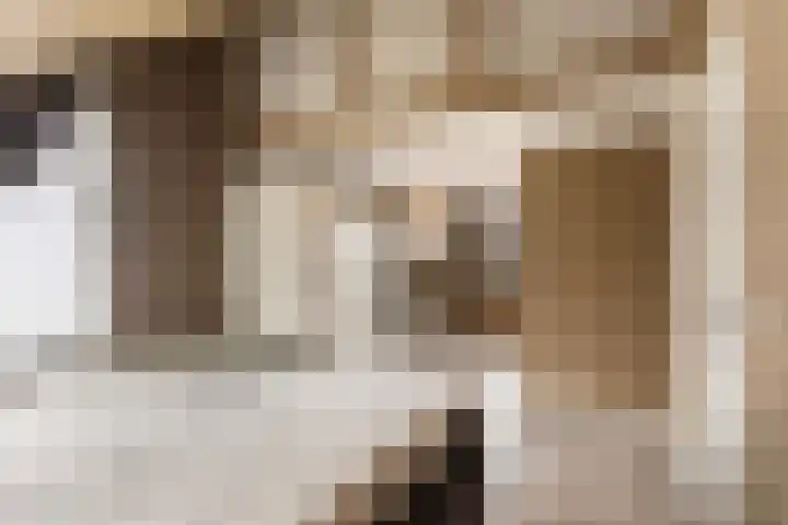 Elzekamp 14 Tytsjerk thumbnail 4