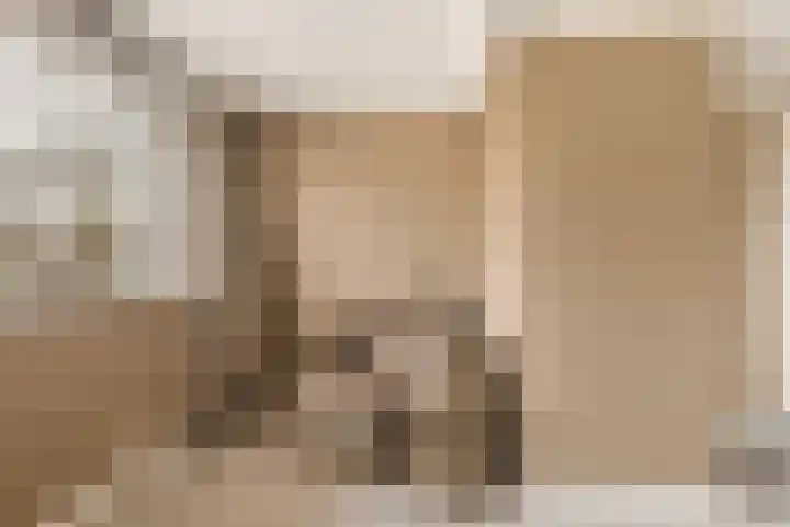 Elzekamp 14 Tytsjerk thumbnail 42