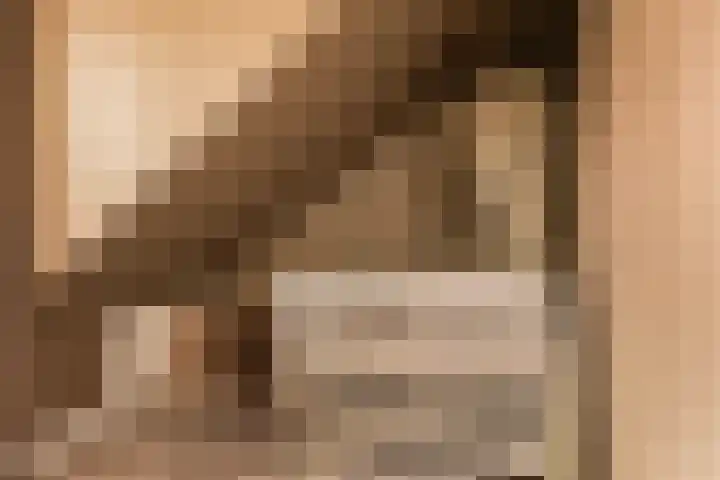 Elzekamp 14 Tytsjerk thumbnail 44
