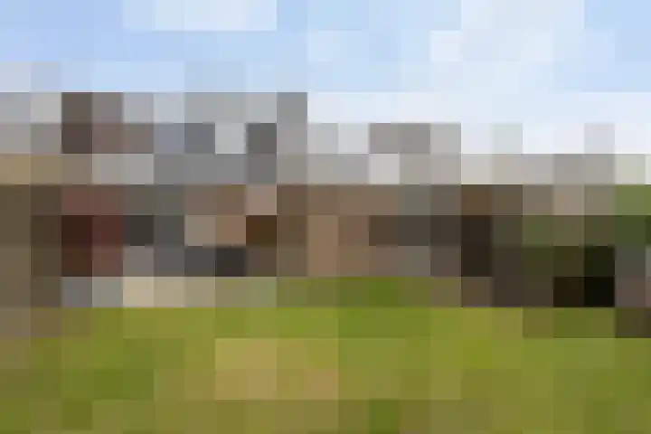 Elzekamp 14 Tytsjerk thumbnail 50