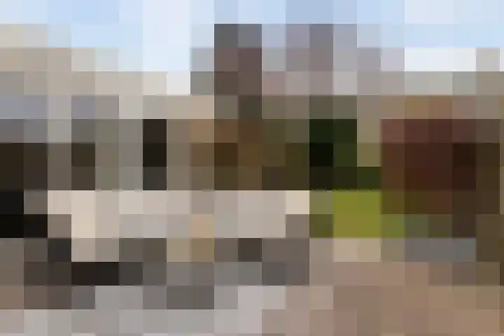 Elzekamp 14 Tytsjerk thumbnail 51