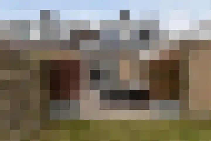 Elzekamp 14 Tytsjerk thumbnail 52