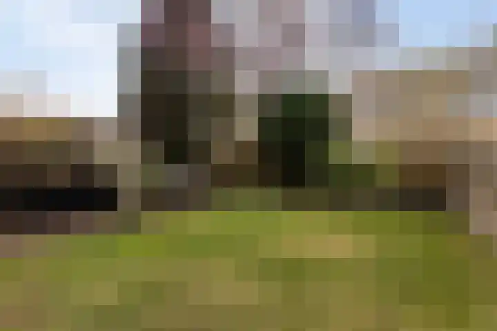 Elzekamp 14 Tytsjerk thumbnail 53