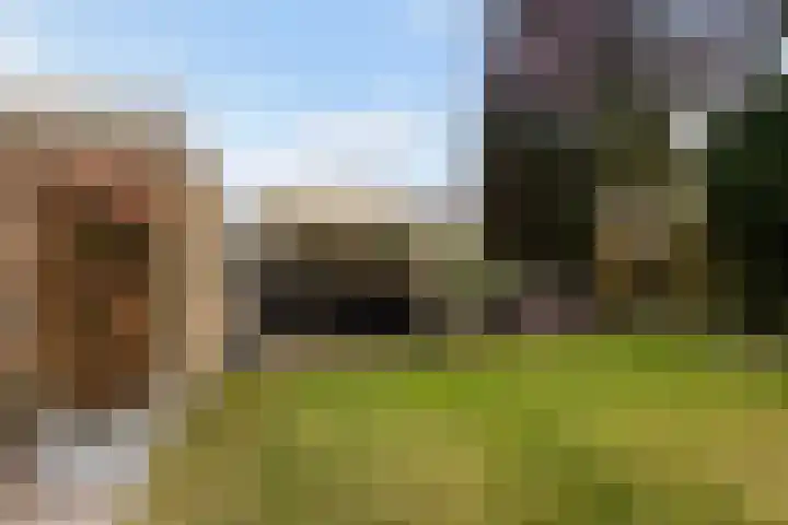 Elzekamp 14 Tytsjerk thumbnail 54