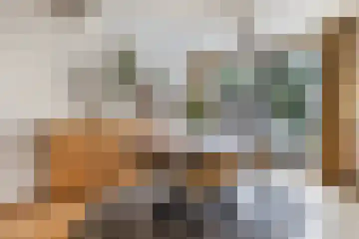 Elzekamp 16 Tytsjerk thumbnail 18