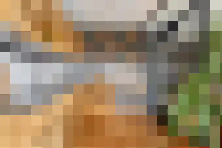 Elzekamp 16 Tytsjerk thumbnail 23
