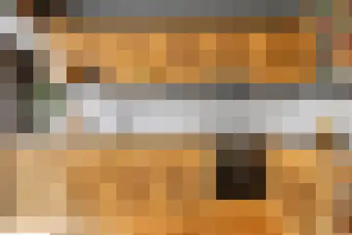 Elzekamp 16 Tytsjerk thumbnail 25