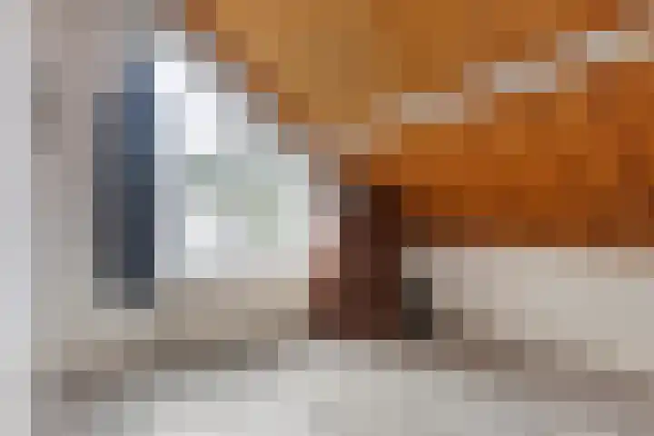 Elzekamp 16 Tytsjerk thumbnail 30