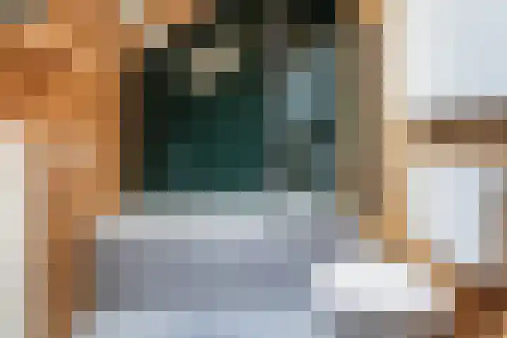 Elzekamp 16 Tytsjerk thumbnail 34