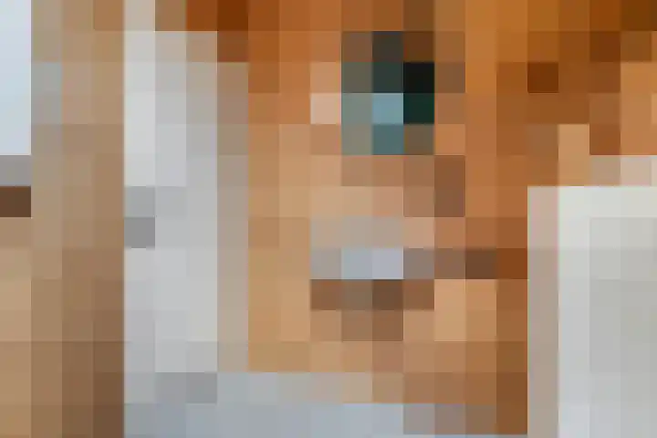 Elzekamp 16 Tytsjerk thumbnail 35