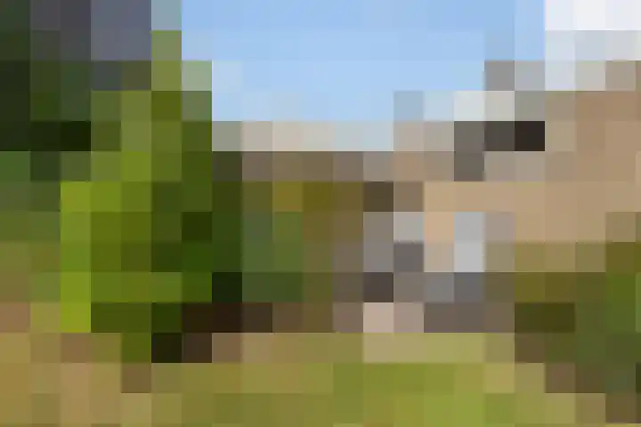 Elzekamp 16 Tytsjerk thumbnail 37