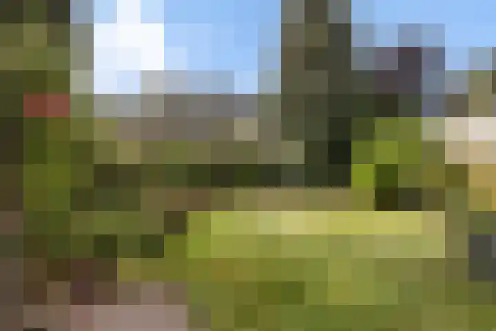 Elzekamp 16 Tytsjerk thumbnail 38