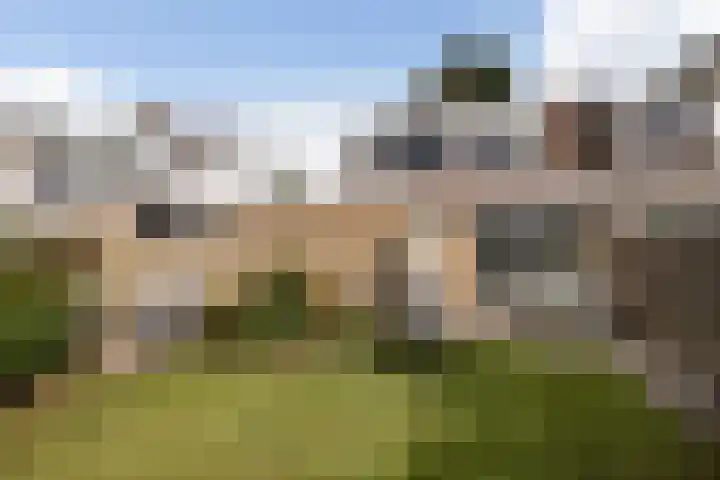 Elzekamp 16 Tytsjerk thumbnail 39