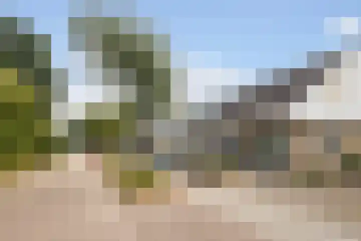 Elzekamp 16 Tytsjerk thumbnail 4