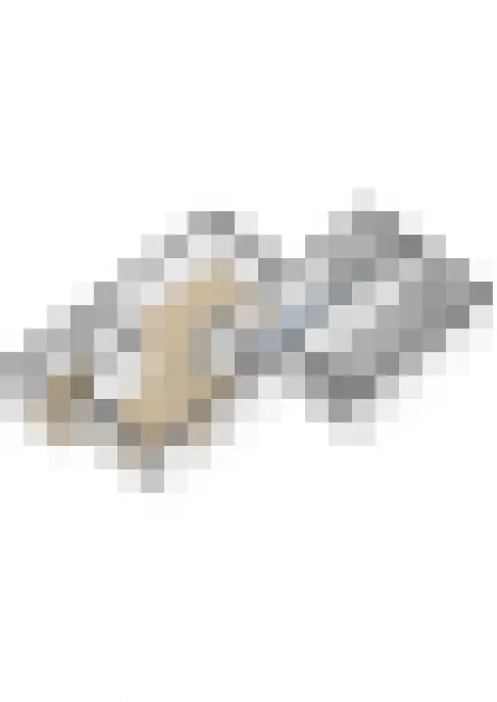 Elzekamp 16 Tytsjerk thumbnail 42