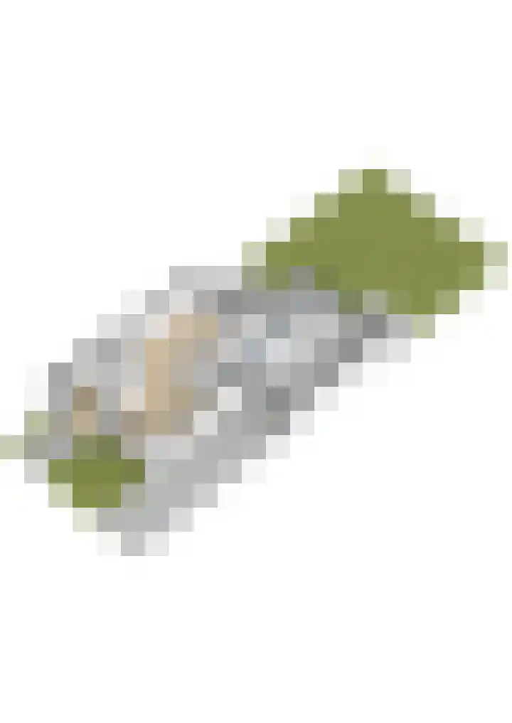 Elzekamp 16 Tytsjerk thumbnail 46