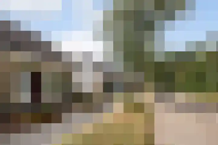 Elzekamp 16 Tytsjerk thumbnail 5