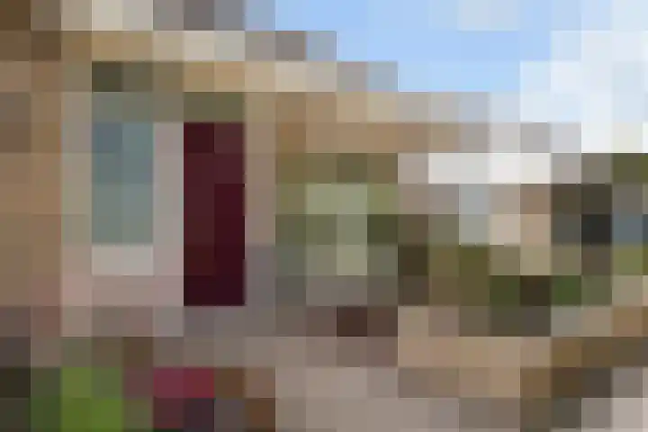 Elzekamp 16 Tytsjerk thumbnail 7