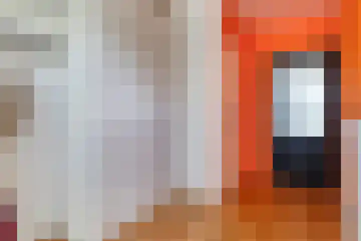 Elzekamp 16 Tytsjerk thumbnail 9
