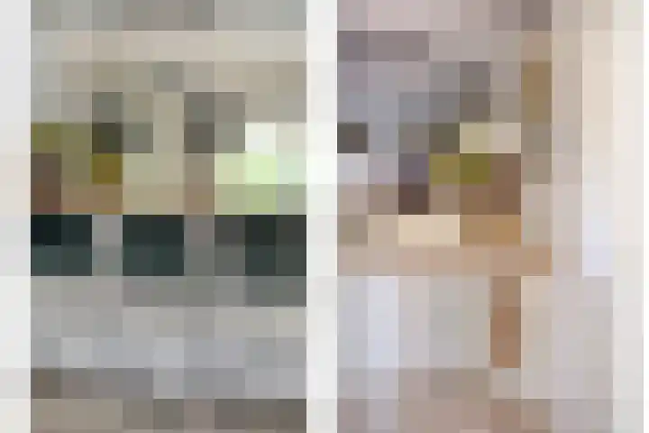Elzenbroek 39 Breda thumbnail 13