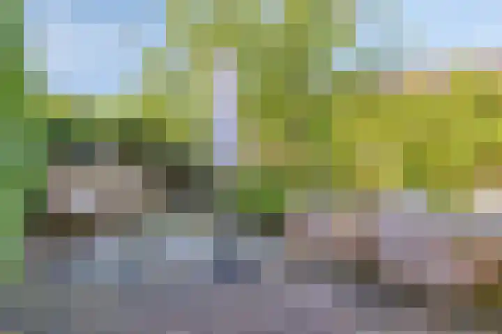 Elzenbroek 39 Breda thumbnail 24