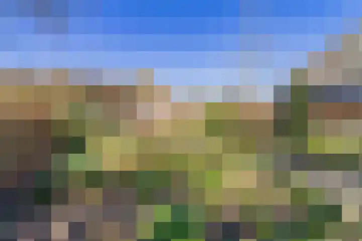 Elzendreef 10 Ulvenhout thumbnail 30