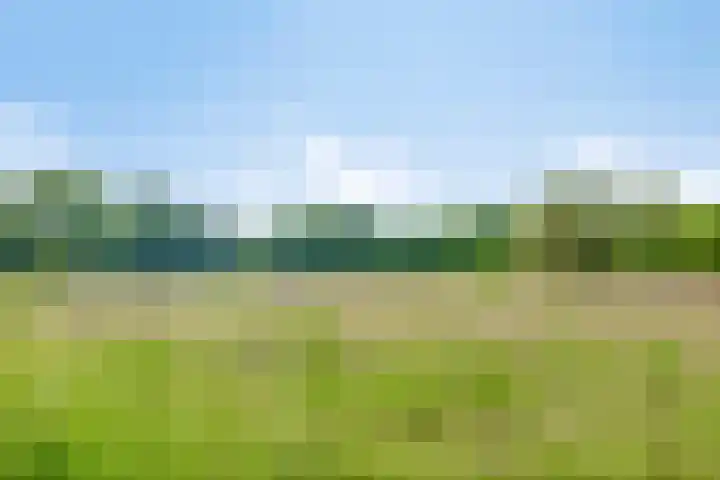 Elzendreef 10 Ulvenhout thumbnail 31
