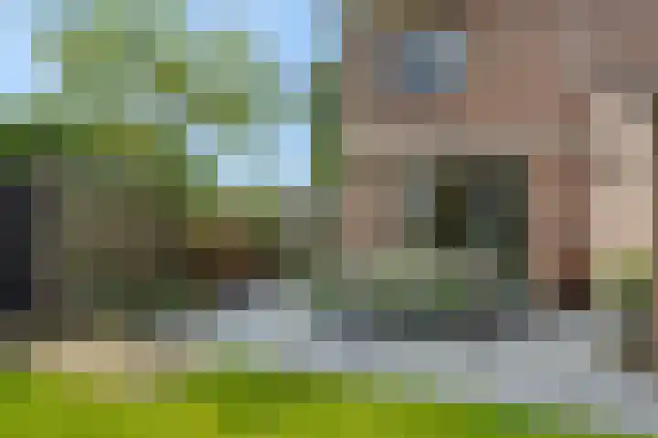 Elzendreef 31 Geffen thumbnail 16