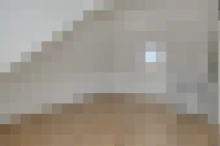 Elzendreef 31 Geffen thumbnail 36