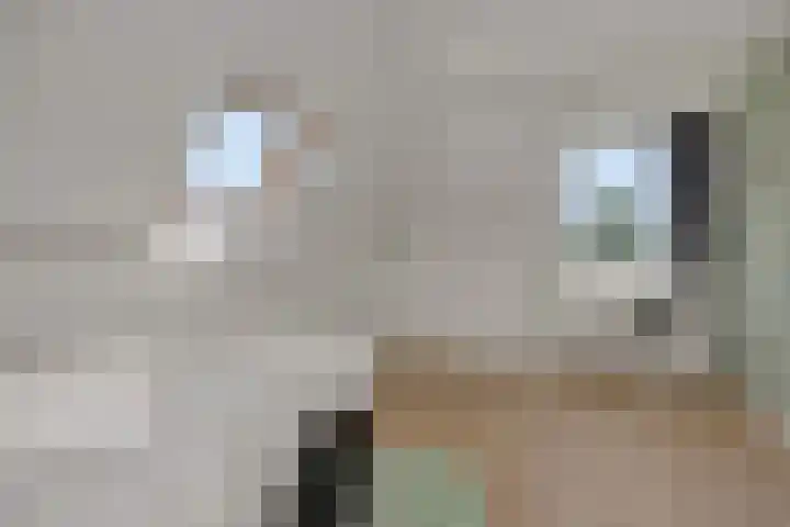 Elzendreef 31 Geffen thumbnail 38