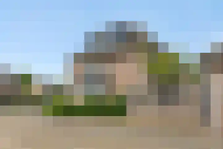 Elzendreef 31 Geffen thumbnail 43