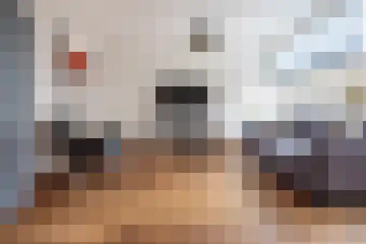 Elzendreef 34 Duiven thumbnail 12