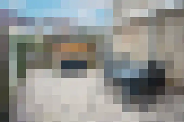 Elzendreef 34 Duiven thumbnail 21