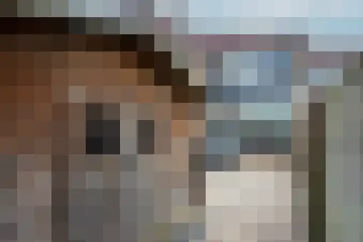 Elzendreef 34 Duiven thumbnail 22