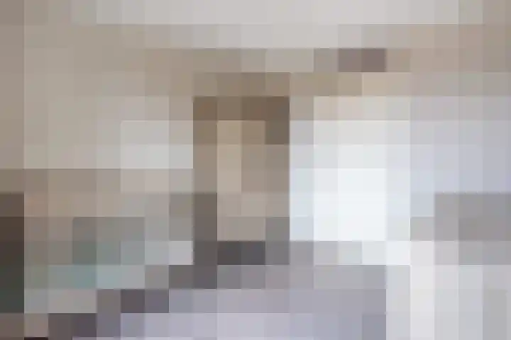 Elzendreef 34 Duiven thumbnail 32