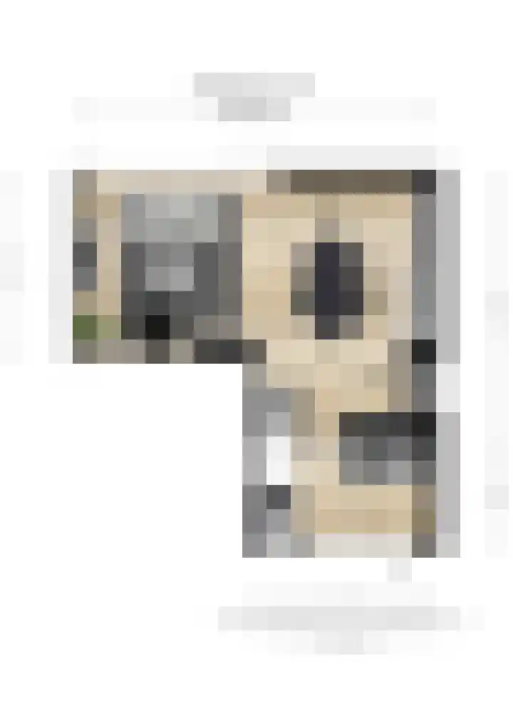 Elzendreef 34 Duiven thumbnail 37
