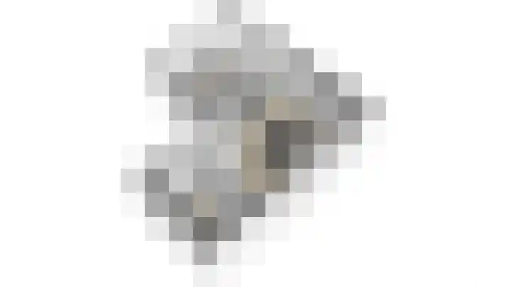 Elzendreef 34 Duiven thumbnail 39