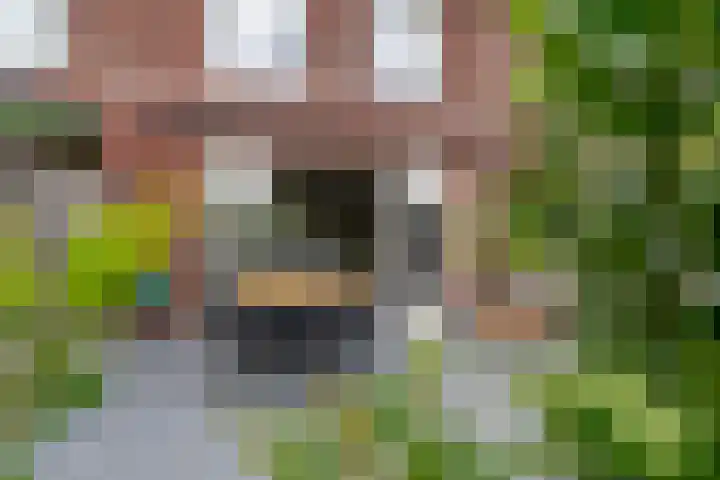 Elzendreef 46 Waspik thumbnail 4