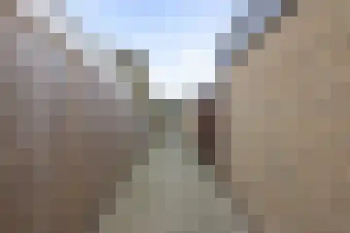Elzengaard 28 Boxtel thumbnail 38