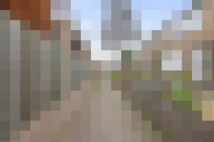 Elzengaard 28 Boxtel thumbnail 40